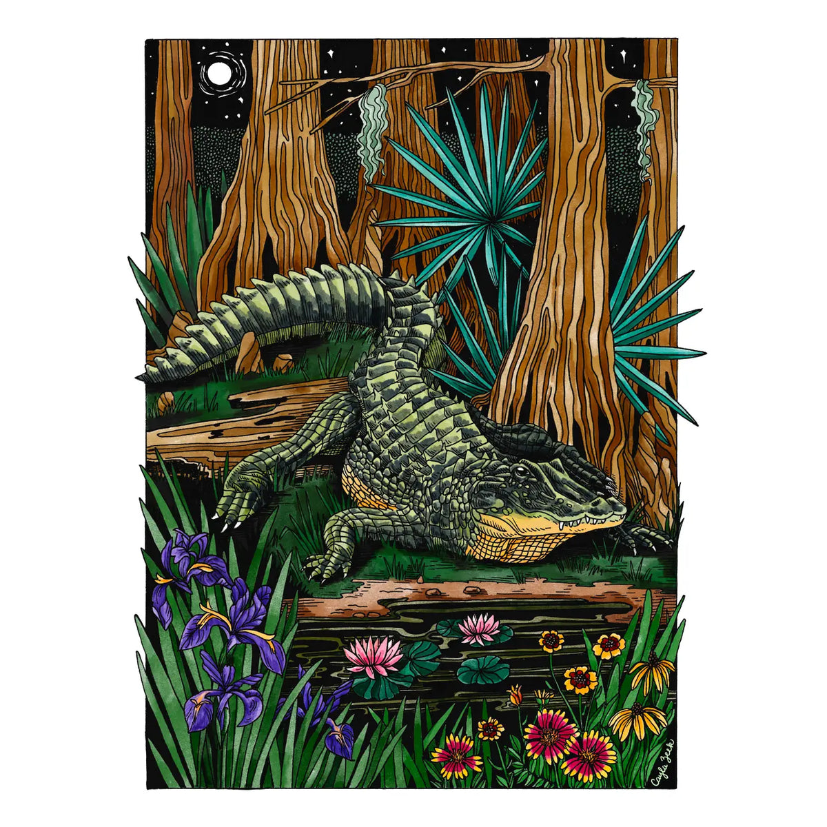 swamp2_1200x1200.webp?v=1696865489