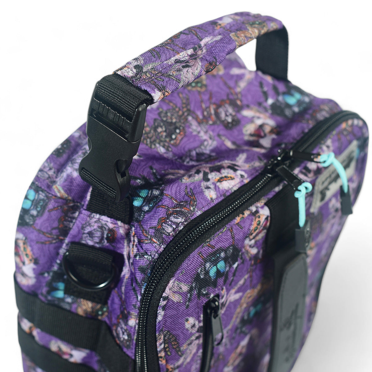 Jumping Spiders Lunch Box – Sipsey Wilder