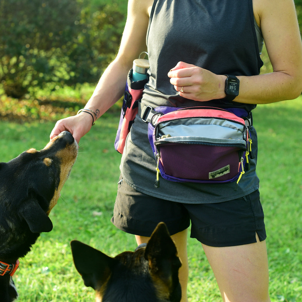 Fruit Burst Rover Hip Pack 2.0 Sipsey Wilder
