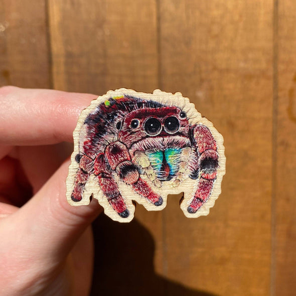 Jumping Spider Wooden Pin (Sustainably Sourced)