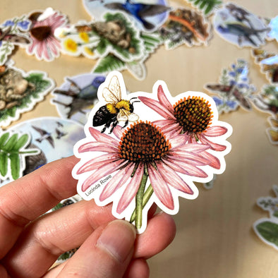 Bumblebee with Purple Coneflower Sticker