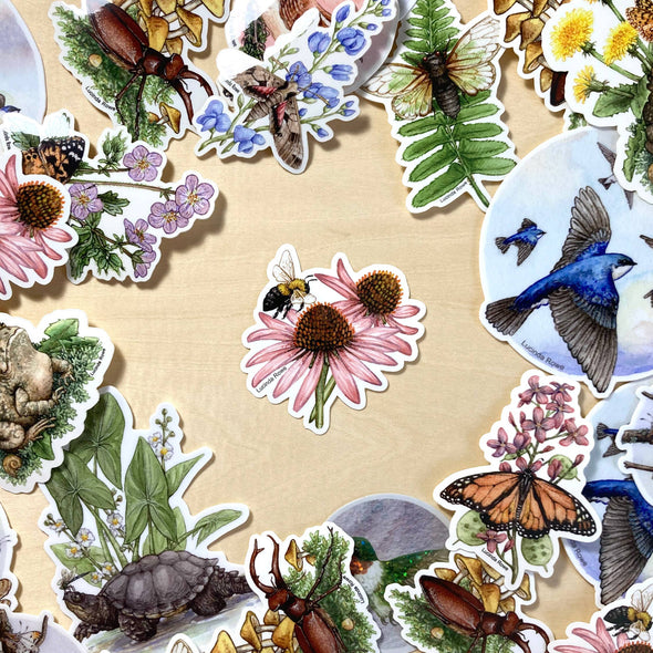 Bumblebee with Purple Coneflower Sticker