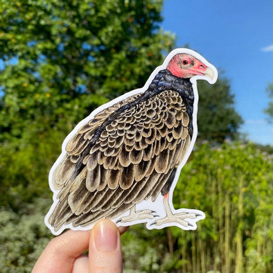 Turkey Vulture Large Weatherproof Vinyl Sticker