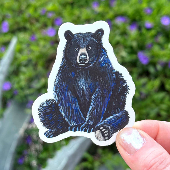 Sitting Black Bear Sticker