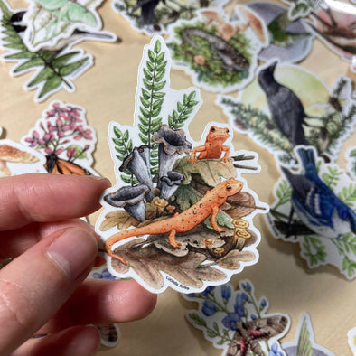 Red Efts With Trumpet Chanterelles Sticker