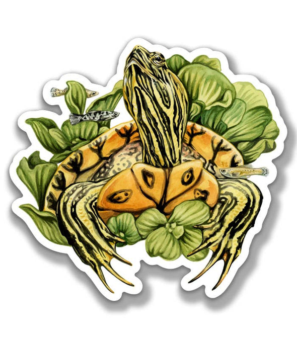 Yellow-Bellied Slider Sticker