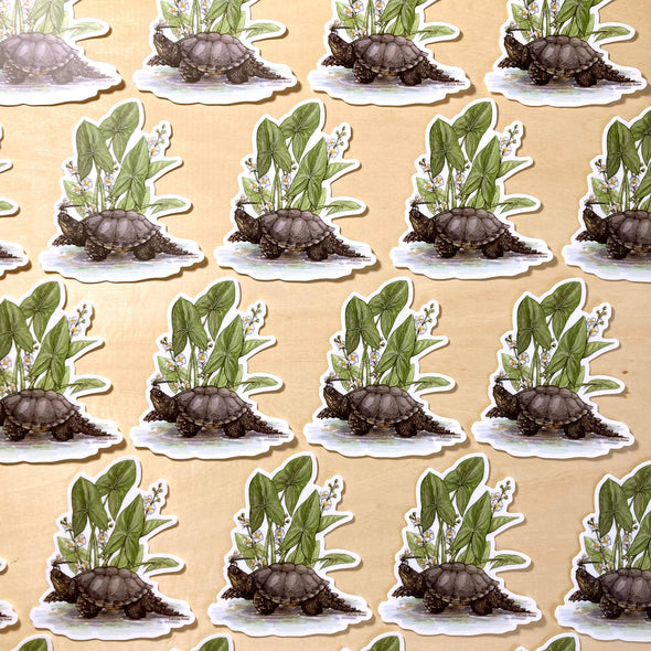 Snapping Turtle with Common Arrowhead Sticker
