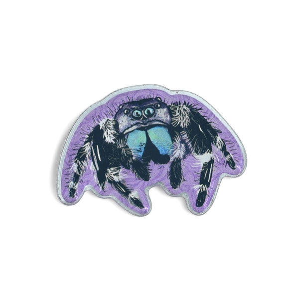 Acrylic Jumping Spider Pin