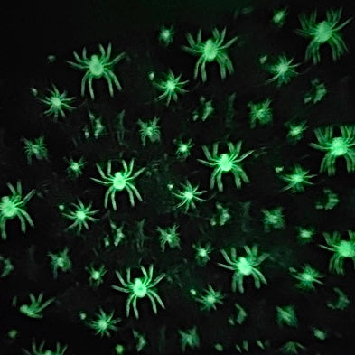 *PRE-ORDER Spooky Spiders Active Hat (Glow-in-the-dark!)