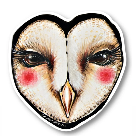 Barn Owl Face Sticker