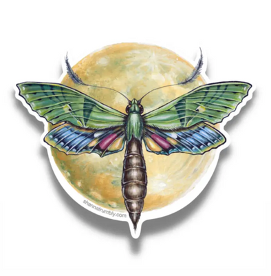 Moth in Full Moon Sticker
