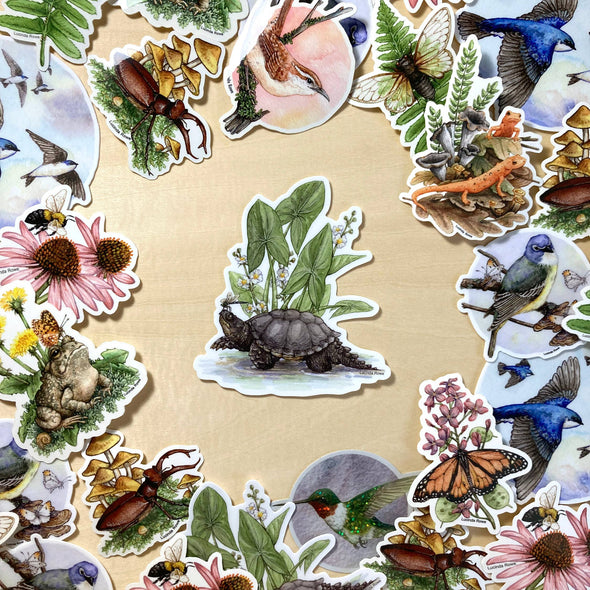 Snapping Turtle with Common Arrowhead Sticker