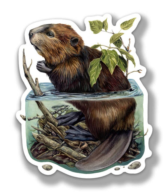 Beaver Lake Sticker