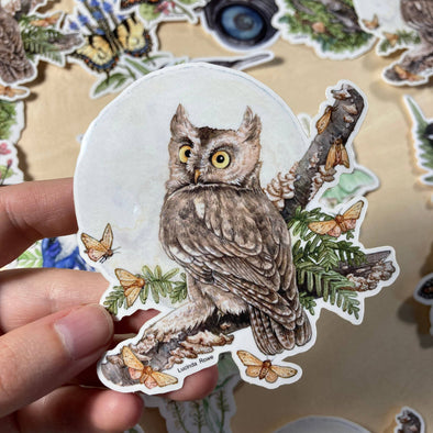 Screech Owl With Moths Sticker