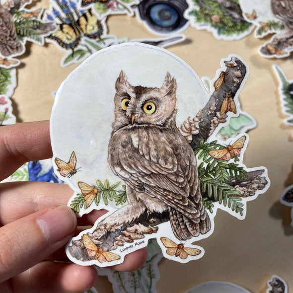 Screech Owl With Moths Sticker