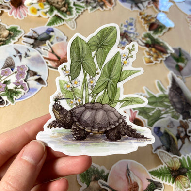 Snapping Turtle with Common Arrowhead Sticker