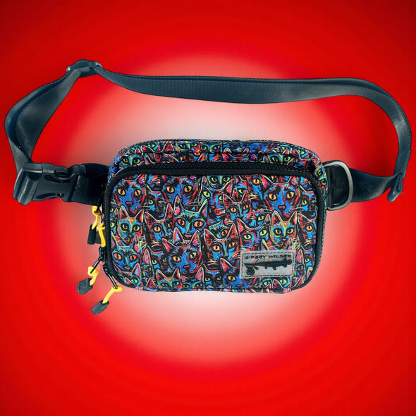 Cool Cats Wally Pack