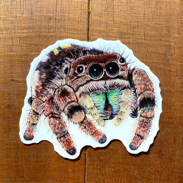 Jumping Spider Vinyl Sticker (Brown)