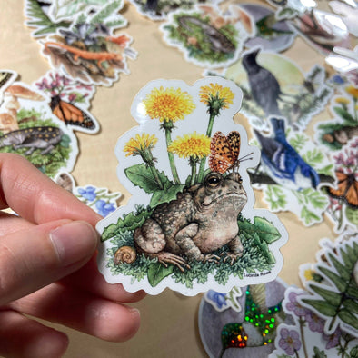 Fowler's Toad With Dandelions And Butterfly Sticker