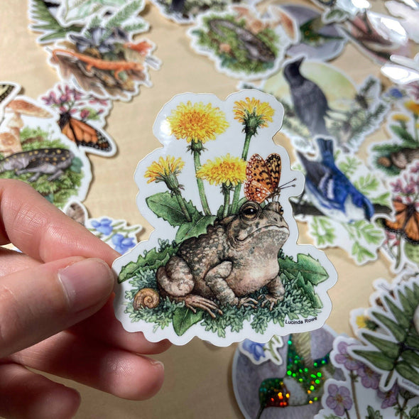 Fowler's Toad With Dandelions And Butterfly Sticker