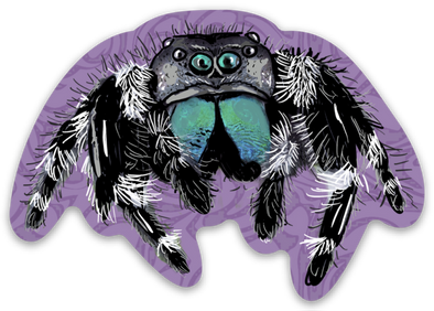 Jumping Spider on Purple Vinyl Sticker