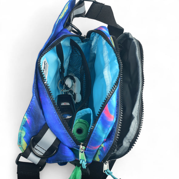 Aurora Peaks Rover Hip Pack 2.0