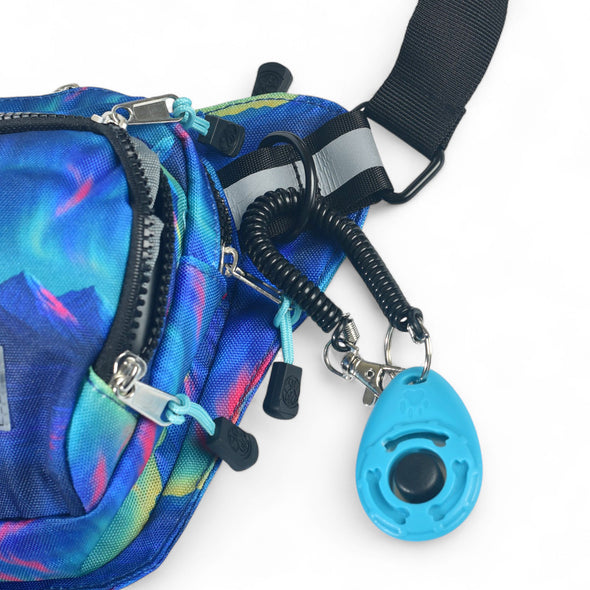 Aurora Peaks Rover Hip Pack 2.0