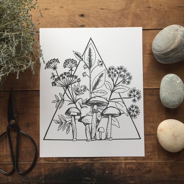 Poisonous Plants and Mushrooms Print (8x10)