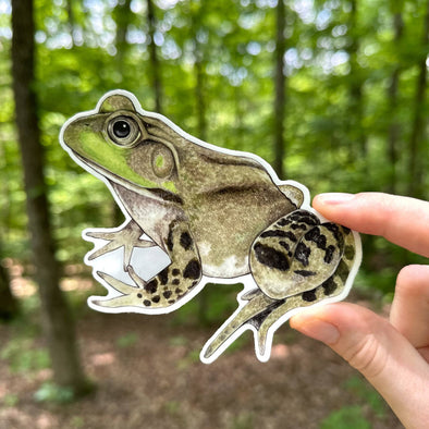 American Bullfrog Sticker