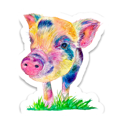 Colorful Pig Sticker