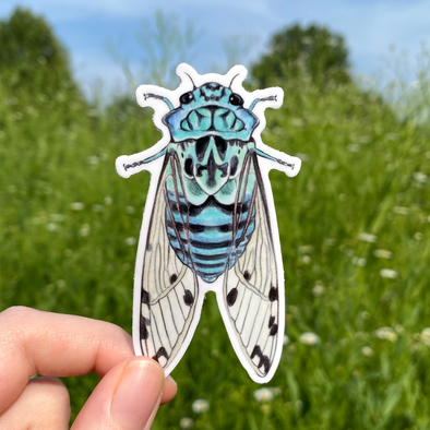 Zammara Cicada Sticker (blue)