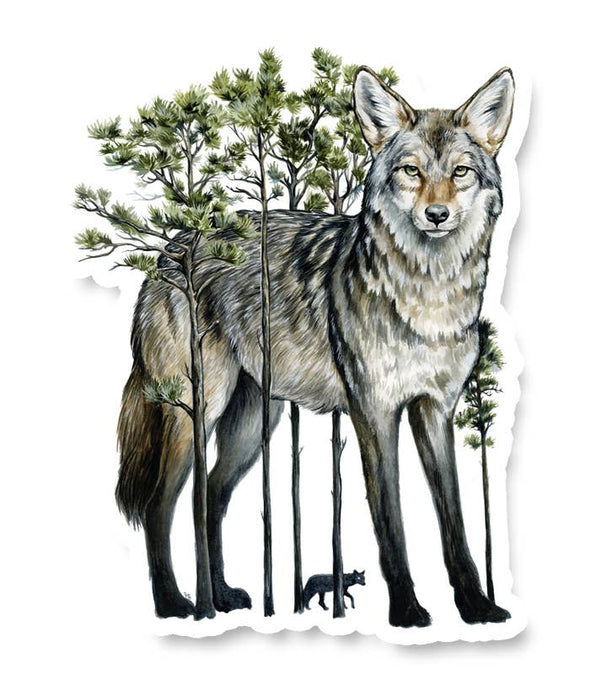 Coyote in the Trees Sticker