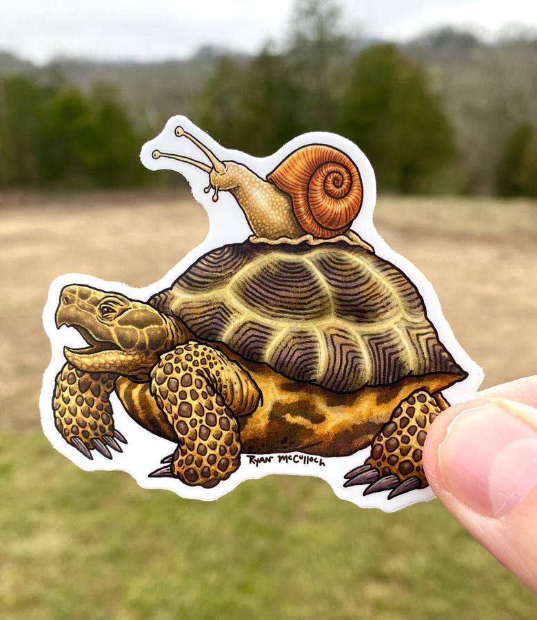Slow Friends (Tortoise and Snail) VInyl Sticker – Sipsey Wilder