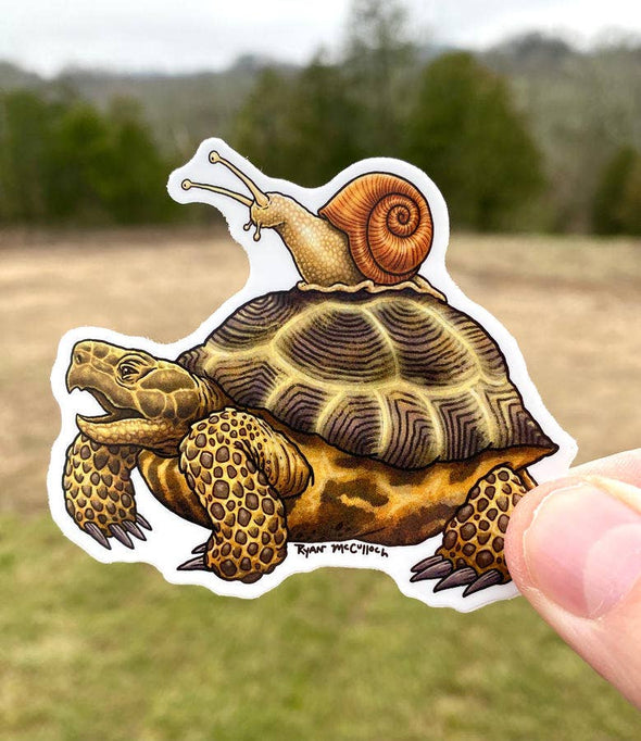 Slow Friends (Tortoise and Snail) VInyl Sticker