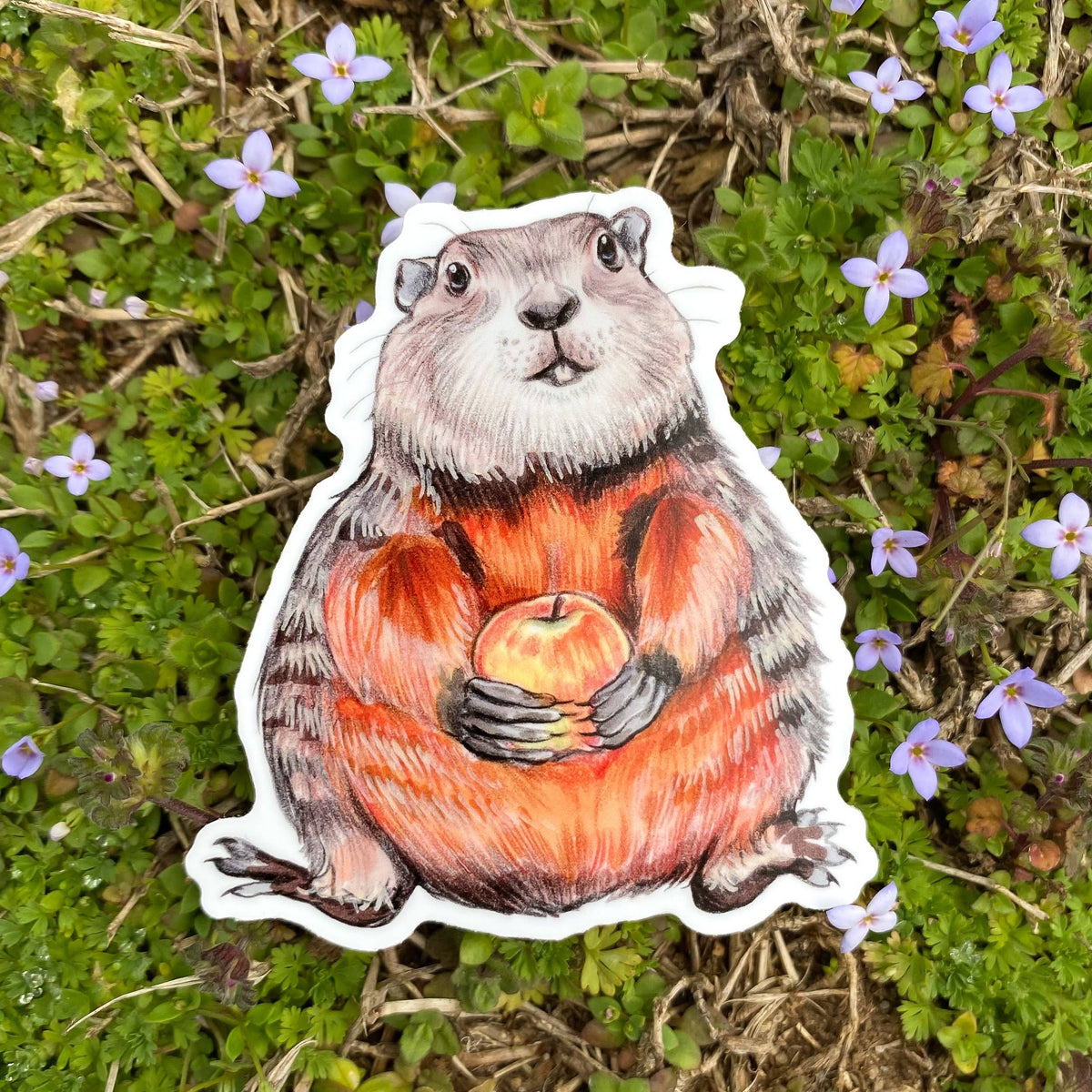 Groundhog Sticker Groundhog Weatherproof Vinyl Sticker – Sipsey Wilder