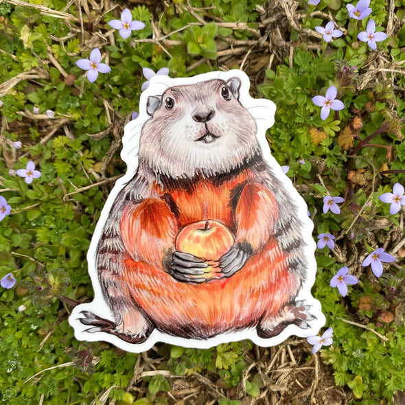 Groundhog Weatherproof Vinyl Sticker