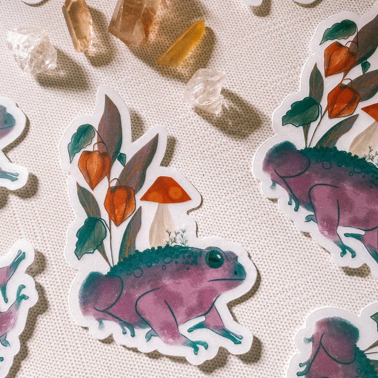 Toad Spirit Clear Vinyl Sticker – Sipsey Wilder