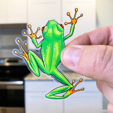 Red Eyed Tree Frog Clear Sticker