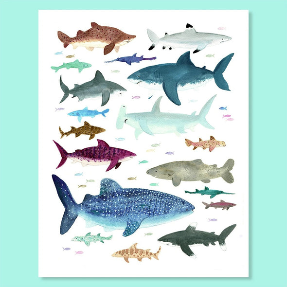Shark Species Print (8x10)