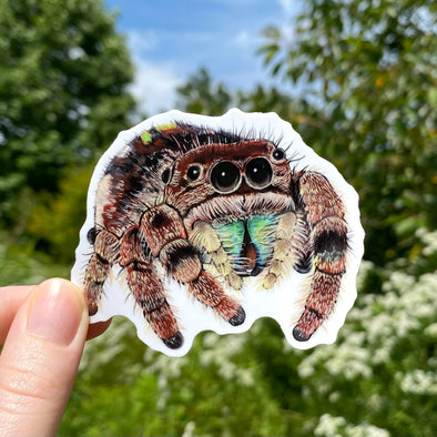 Jumping Spider Vinyl Sticker (Brown)