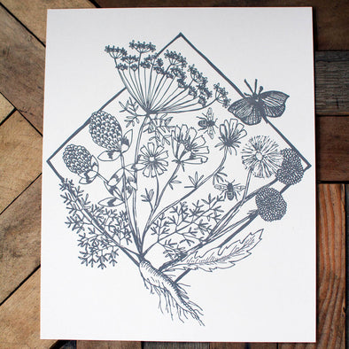 Medicinal Herbs and Weeds Print (8x10)
