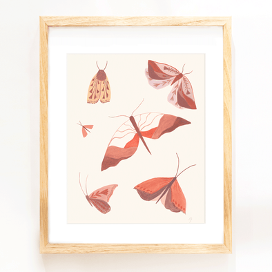 Moth Study Print (8x10)