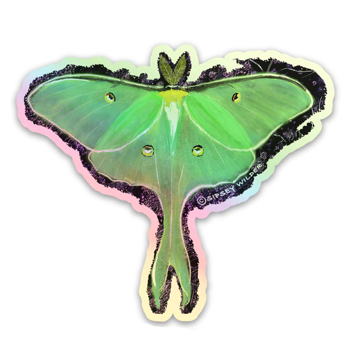 Luna Moth Sticker Holographic Luna Moth Sticker – Sipsey Wilder