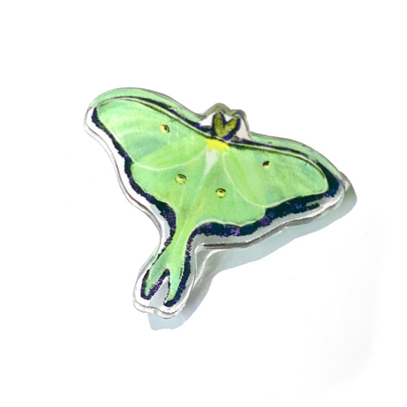 Luna Moth Acrylic Pin
