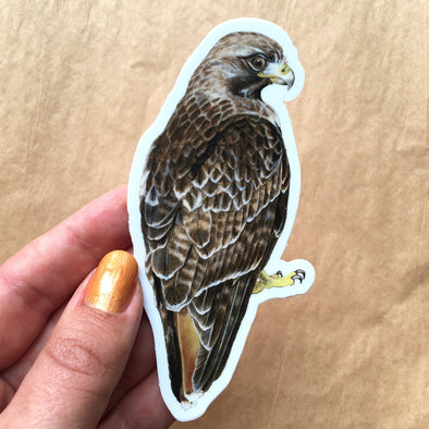 Red-tailed Hawk Vinyl Sticker