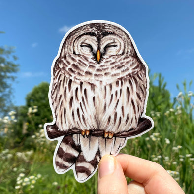 Cozy Barred Owl Sticker
