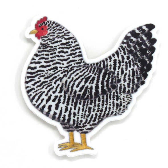 Black & White Chicken Sticker