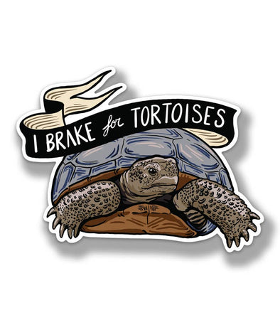 I Brake for Tortoises Magnet