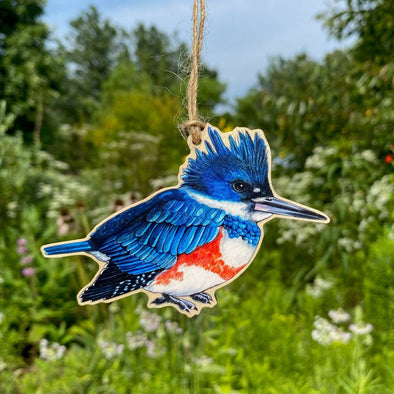 Female Belted Kingfisher Bird Wood Print Ornament