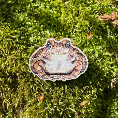 Fowler's Toad Wooden Pin